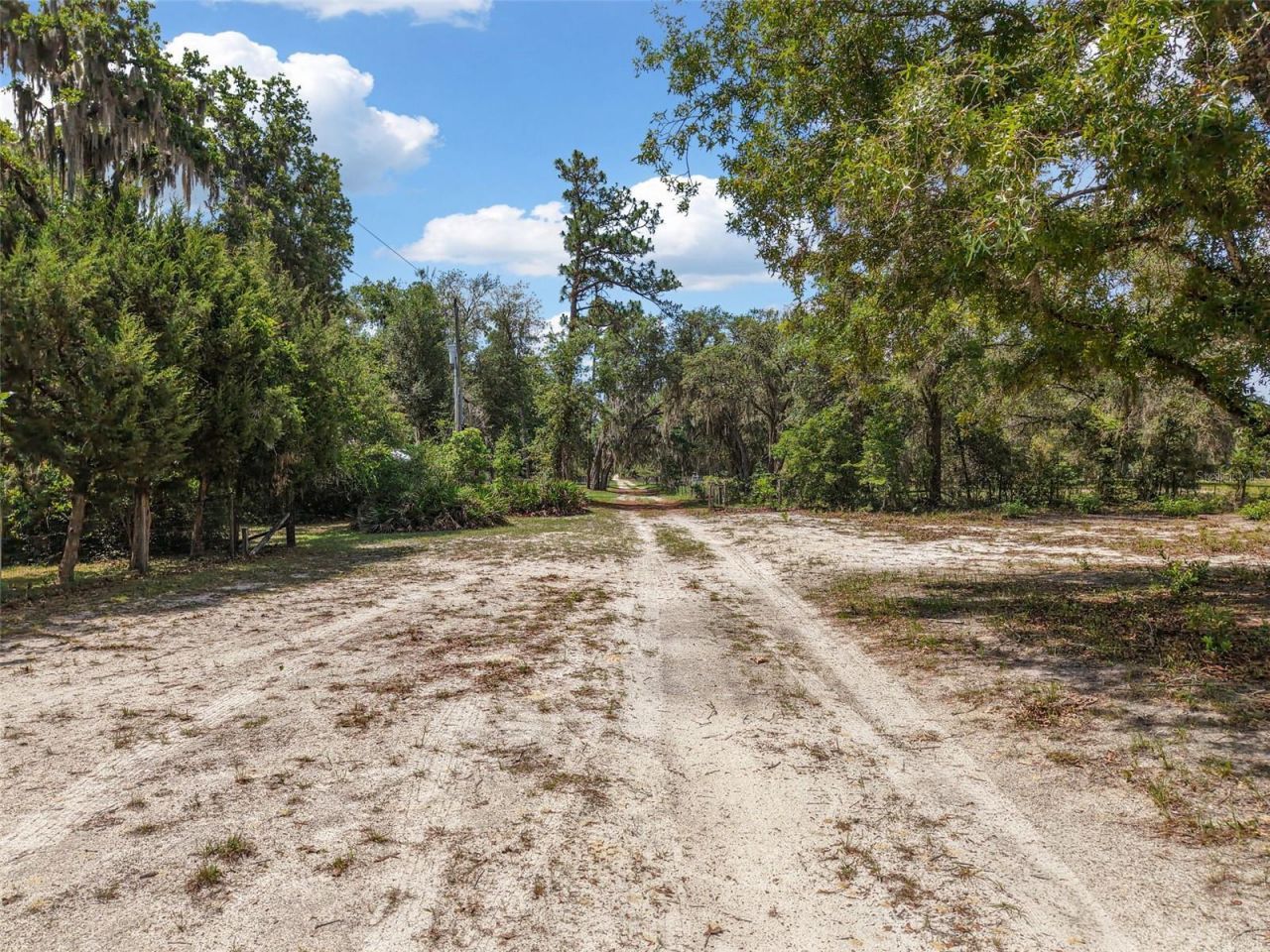 704 SE 791st Street, Old Town, FL 32680 Photo