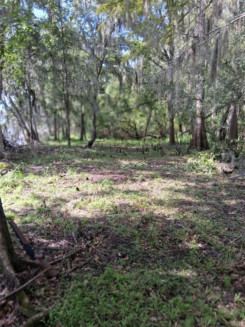 704 SE 791st Street, Old Town, FL 32680 Photo
