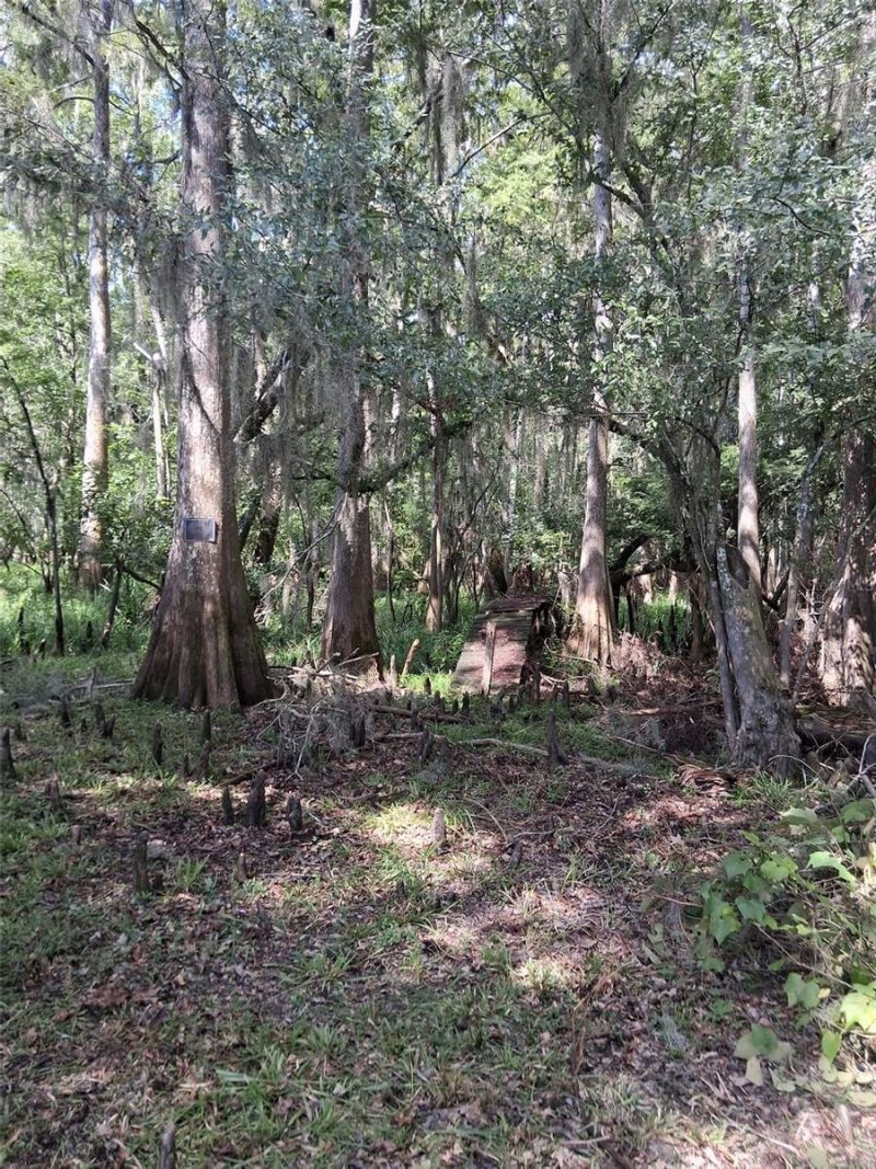 704 SE 791st Street, Old Town, FL 32680 Photo