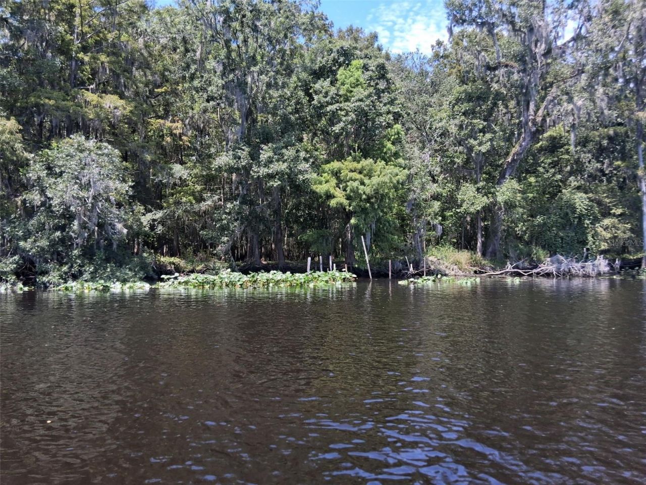 704 SE 791st Street, Old Town, FL 32680 Photo
