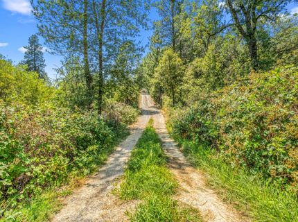 Greenwood Rd, Garden Valley, CA 95633 Photo