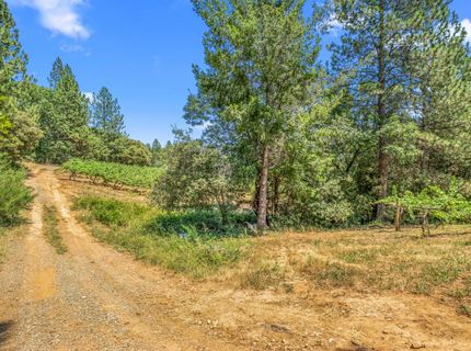 Greenwood Rd, Garden Valley, CA 95633 Photo