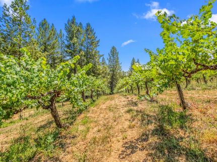Greenwood Rd, Garden Valley, CA 95633 Photo