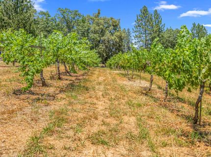 Greenwood Rd, Garden Valley, CA 95633 Photo