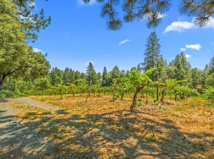 Greenwood Rd, Garden Valley, CA 95633 Photo