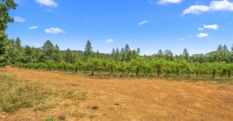 Greenwood Rd, Garden Valley, CA 95633 Photo