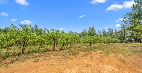 Greenwood Rd, Garden Valley, CA 95633 Photo
