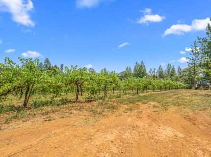 Greenwood Rd, Garden Valley, CA 95633 Photo