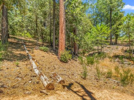 Greenwood Rd, Garden Valley, CA 95633 Photo