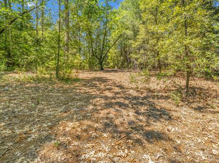 Greenwood Rd, Garden Valley, CA 95633 Photo