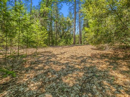 Greenwood Rd, Garden Valley, CA 95633 Photo