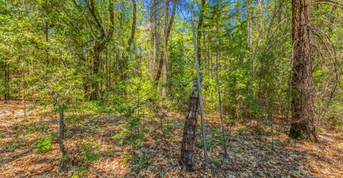 Greenwood Rd, Garden Valley, CA 95633 Photo