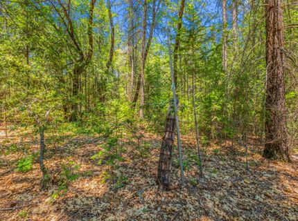 Greenwood Rd, Garden Valley, CA 95633 Photo
