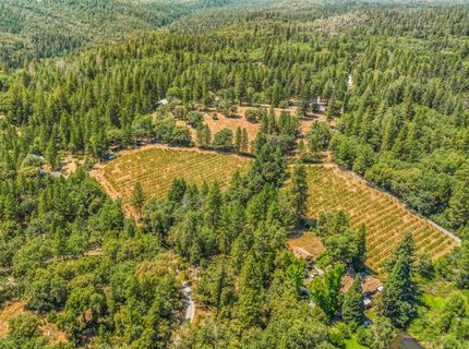 Greenwood Rd, Garden Valley, CA 95633 Photo