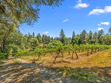 Greenwood Rd, Garden Valley, CA 95633 Photo