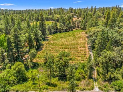 Greenwood Rd, Garden Valley, CA 95633 Photo