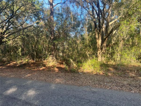 GUAVA TERRACE , OCKLAWAHA, FL 32179