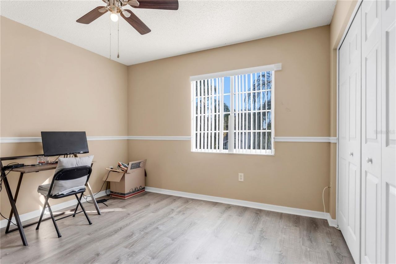 11436 Georgetown Circle, Tampa, FL 33635 Photo