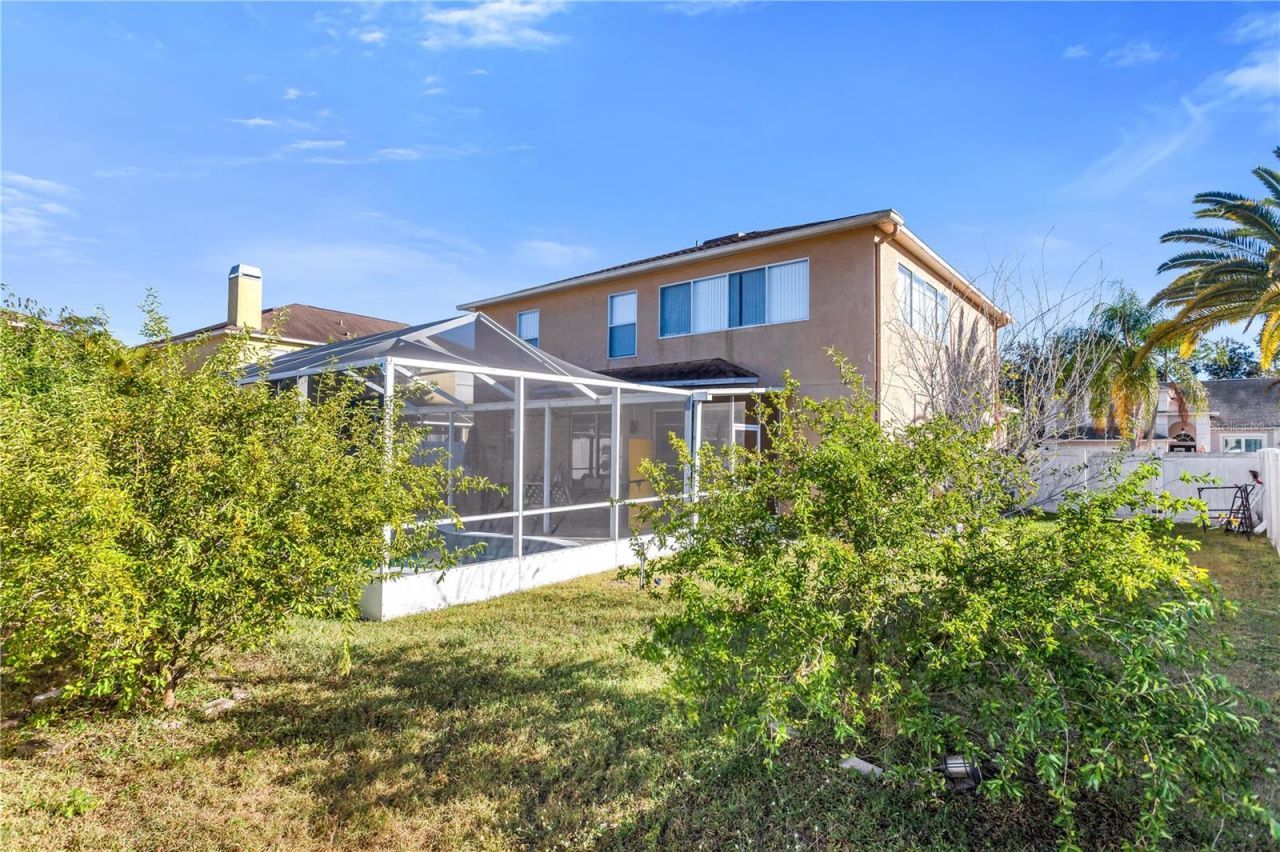 11436 Georgetown Circle, Tampa, FL 33635 Photo