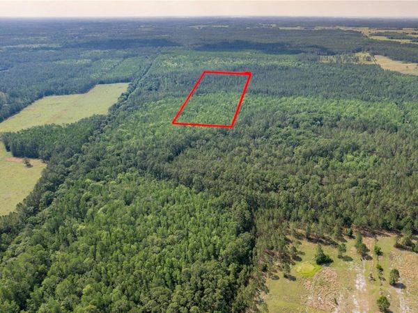 POLK CITY, FL 33868