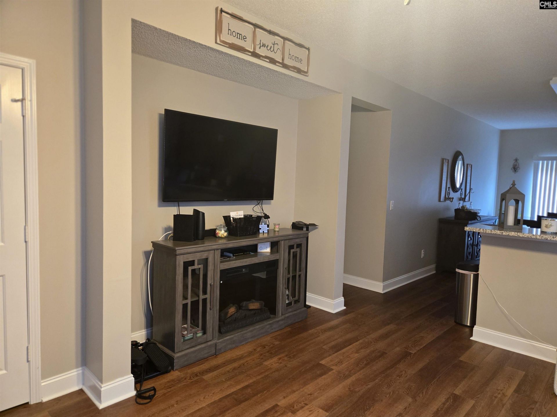237 Wild Olive Drive Photo 9