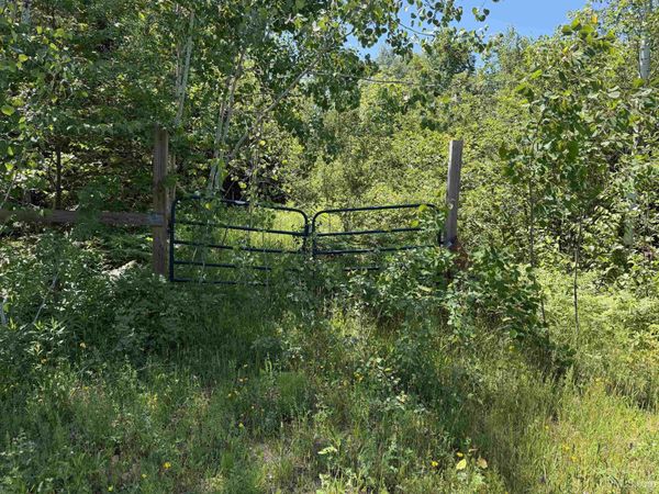 TBD Woodspur Road, Ontonagon Twp, MI 49953