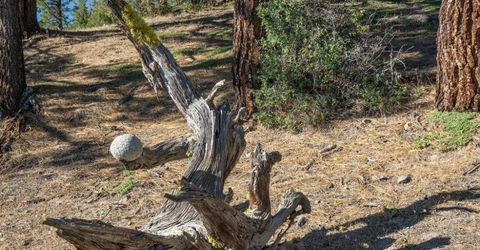 905 Dancing Bears, Portola, CA 96122 Photo