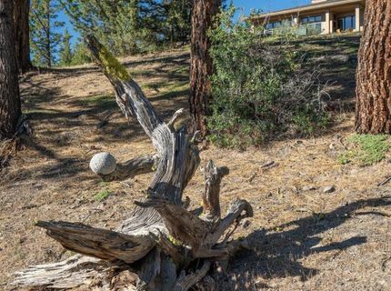 905 Dancing Bears, Portola, CA 96122 Photo