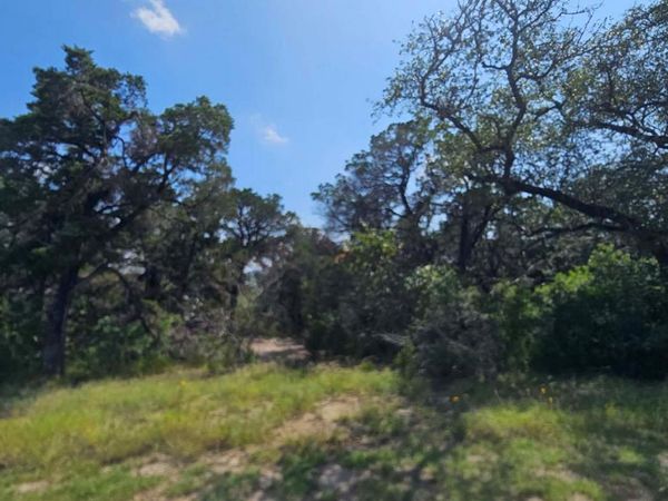 18905 Leisure LN , Lago Vista, TX 78645