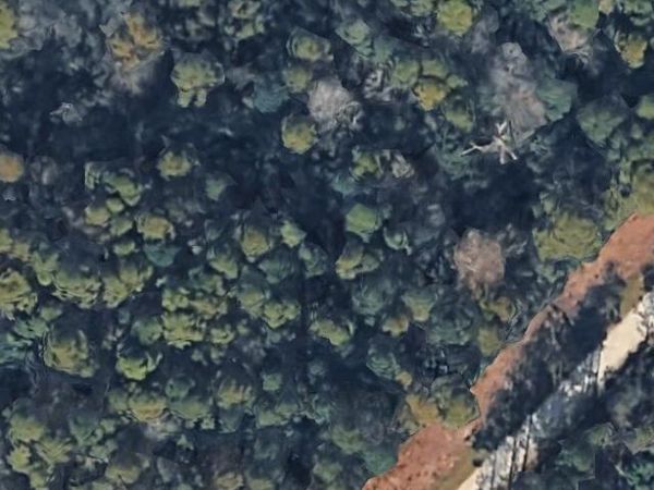 0 Maple Road , Boiling Spring Lakes, NC 28461