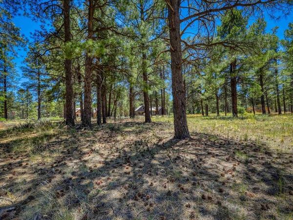 32 Monastery Court, Pagosa Springs, CO 81147
