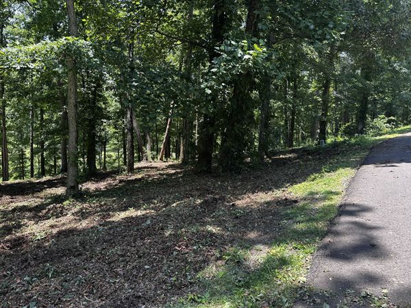196 Fairway Circle , Unit 36, Loretto, TN 38469