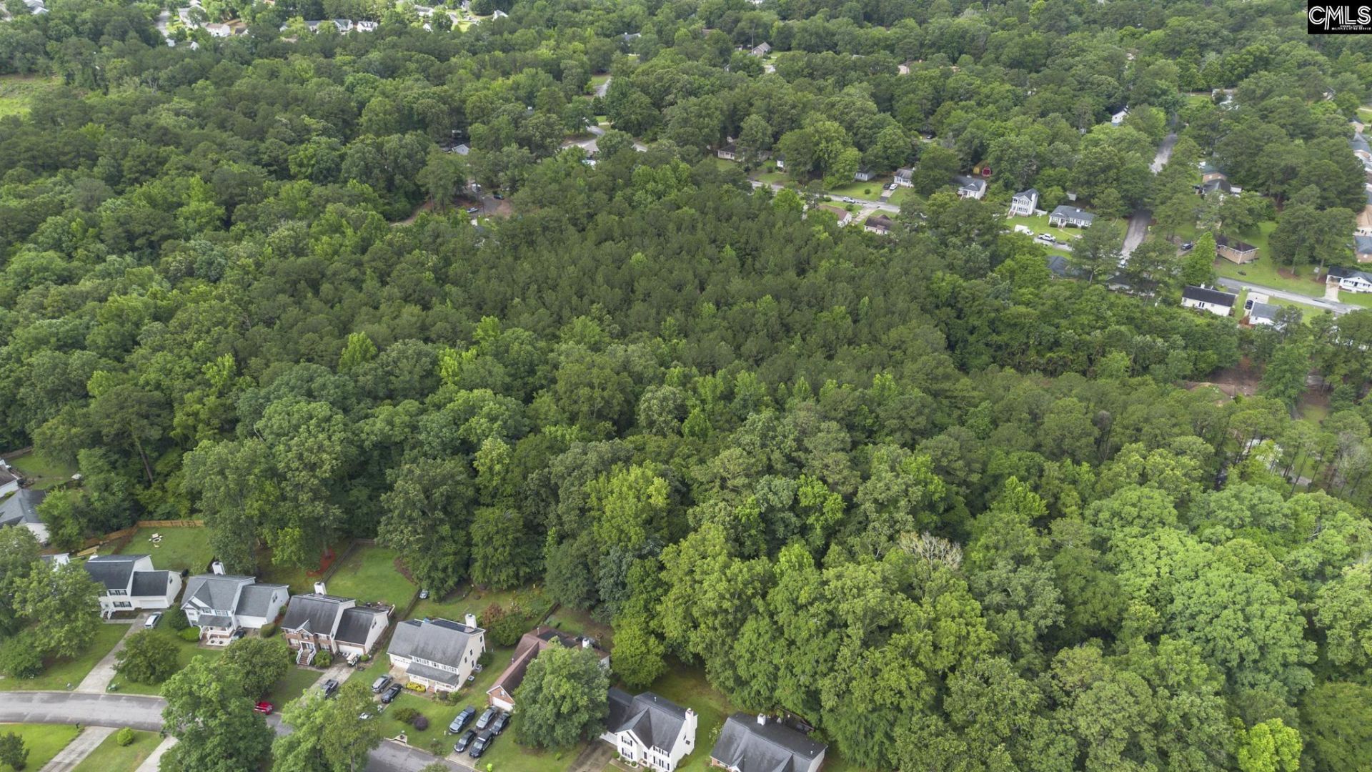 129 Dutch Village Drive  Photo 10