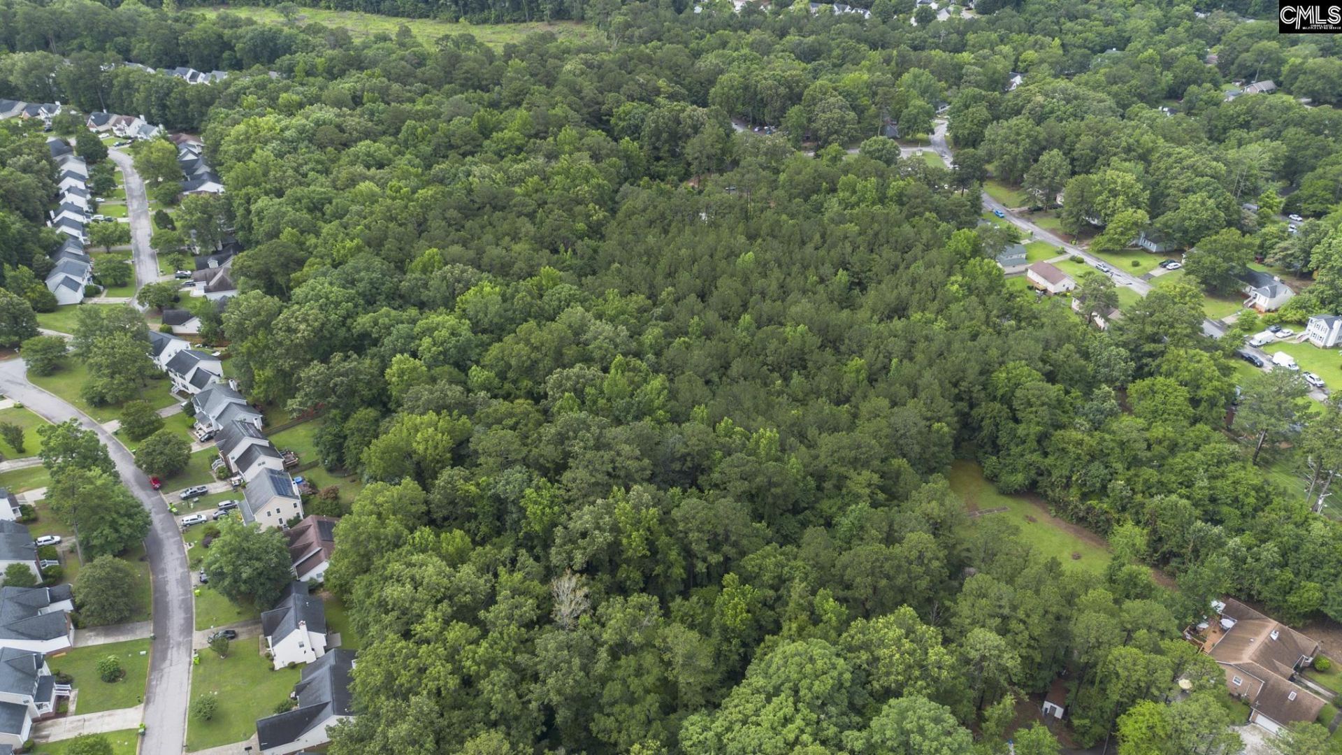129 Dutch Village Drive  Photo 11
