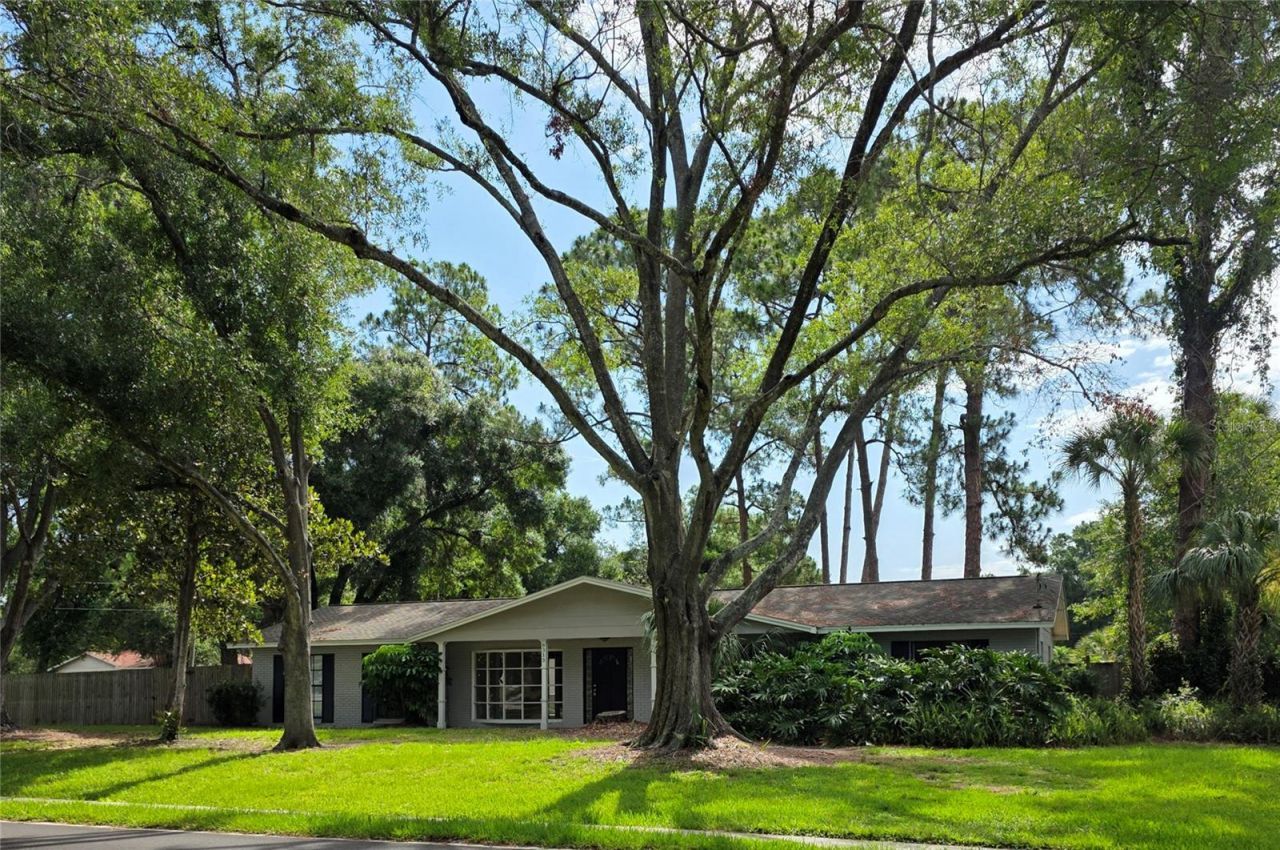 8313 Pat Boulevard , Tampa, FL 33615 Main Photo