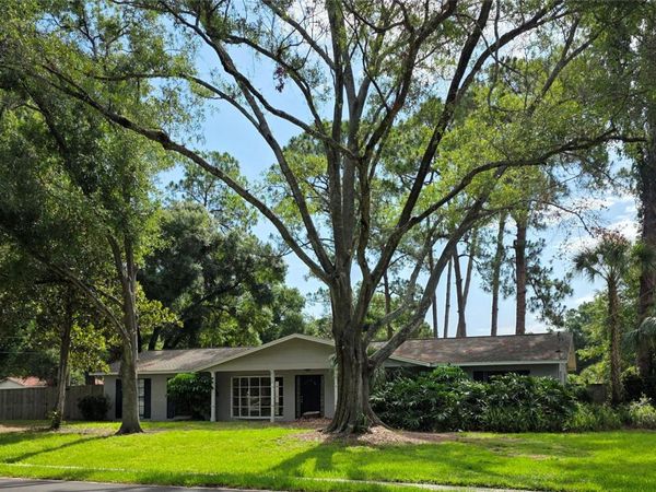 8313 PAT BOULEVARD , TAMPA, FL 33615