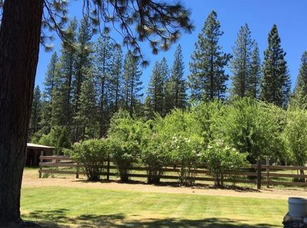 58411 Cedar Lane, Cromberg, CA 00000 Photo