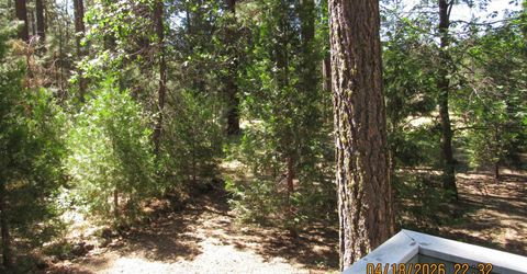 58411 Cedar Lane, Cromberg, CA 00000 Photo