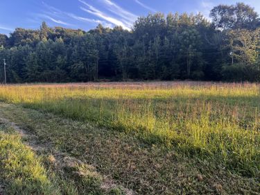 2240 Patty Ridge Road, Russell Springs, KY 42642