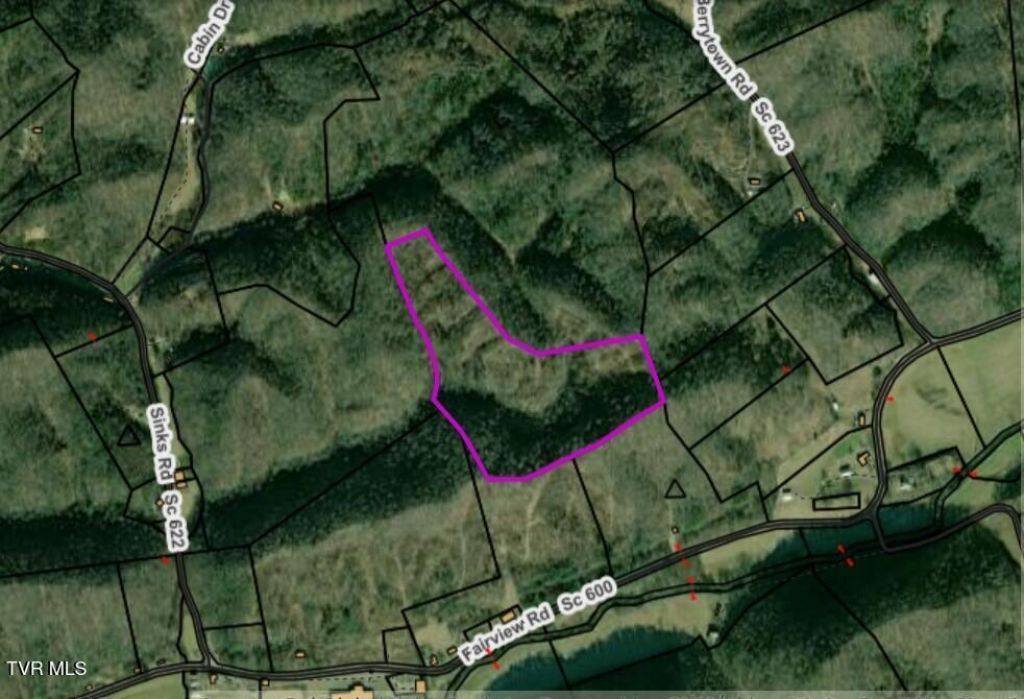 Tbd Fairview Road, Duffield, VA 24244 Main Photo