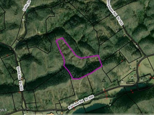 Tbd Fairview Road, Duffield, VA 24244