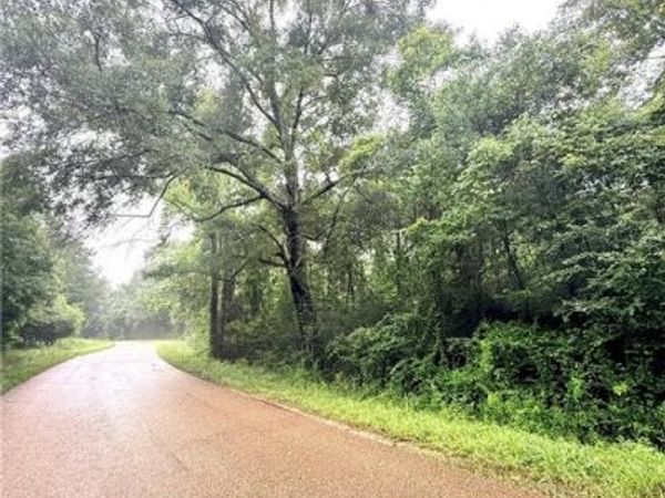 4.464 Acres PLEASANT HILL Road , Mount Hermon, LA 70450