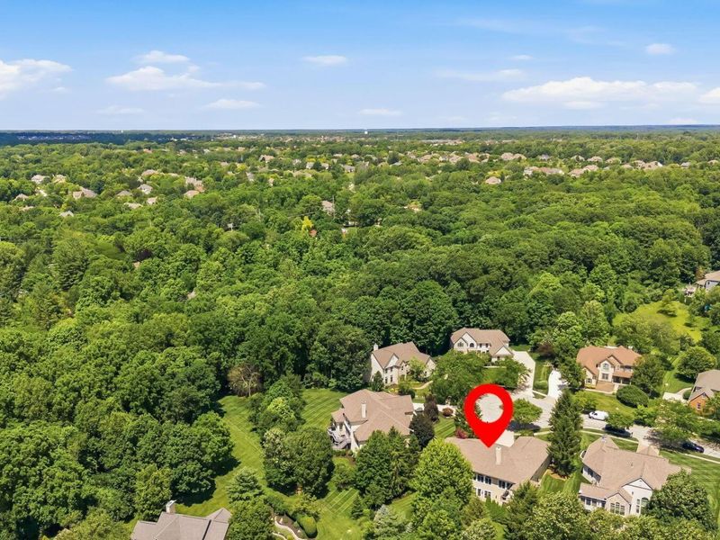 7843 Windy Hill Court, Dublin, OH 43016 Photo 68