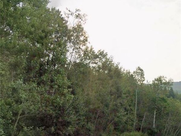 East , Avoca, NY 14809