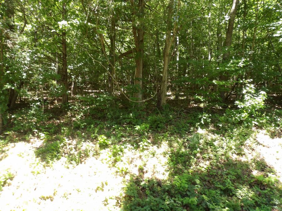 Property Image 37
