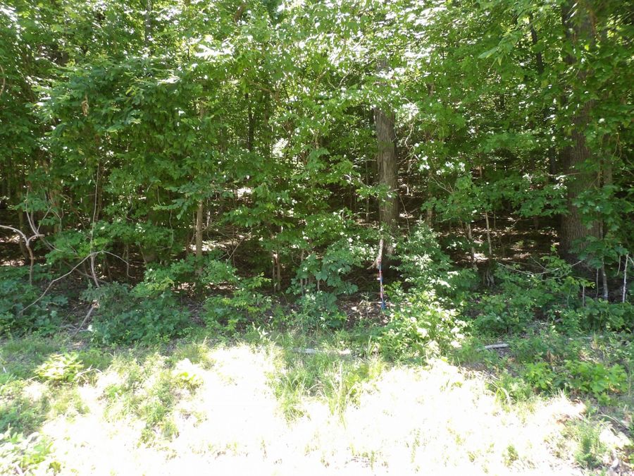 Property Image 38