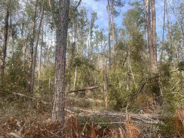 TBD 14th Trace, Live Oak, FL 32060
