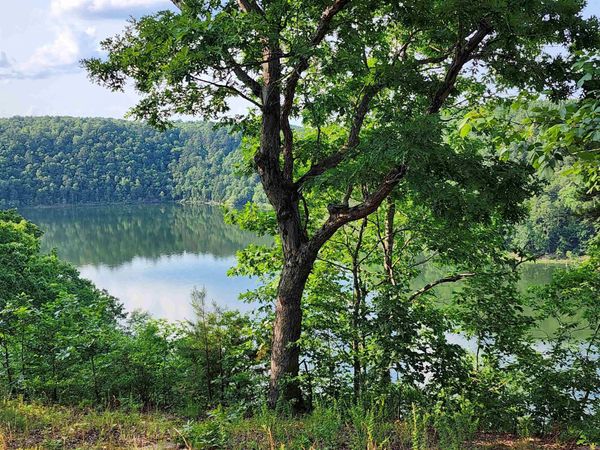 Lot 23 Sylvia Finch Misty Mountain , Searcy, AR 72143