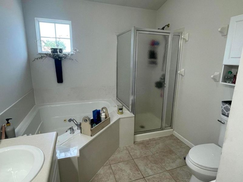 173 Butternut Pass, Commercial Point, OH 43116 Photo 19