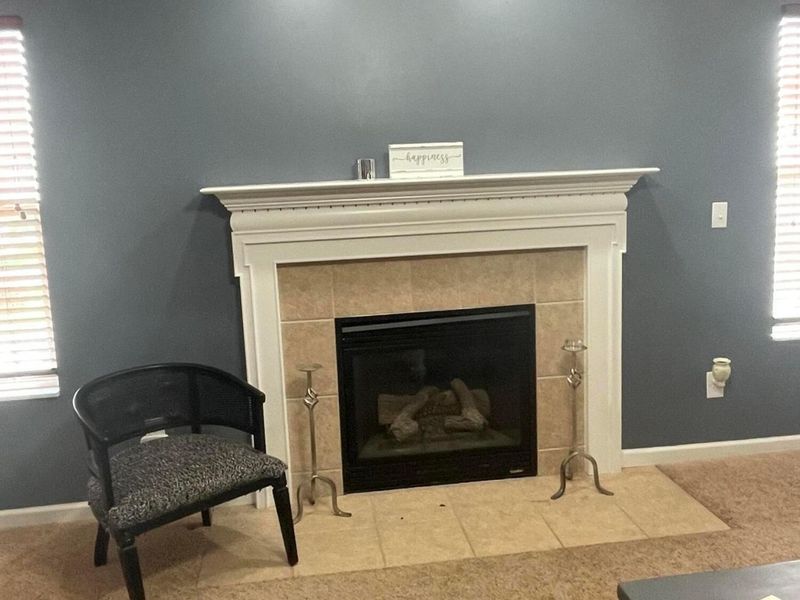 173 Butternut Pass, Commercial Point, OH 43116 Photo 6